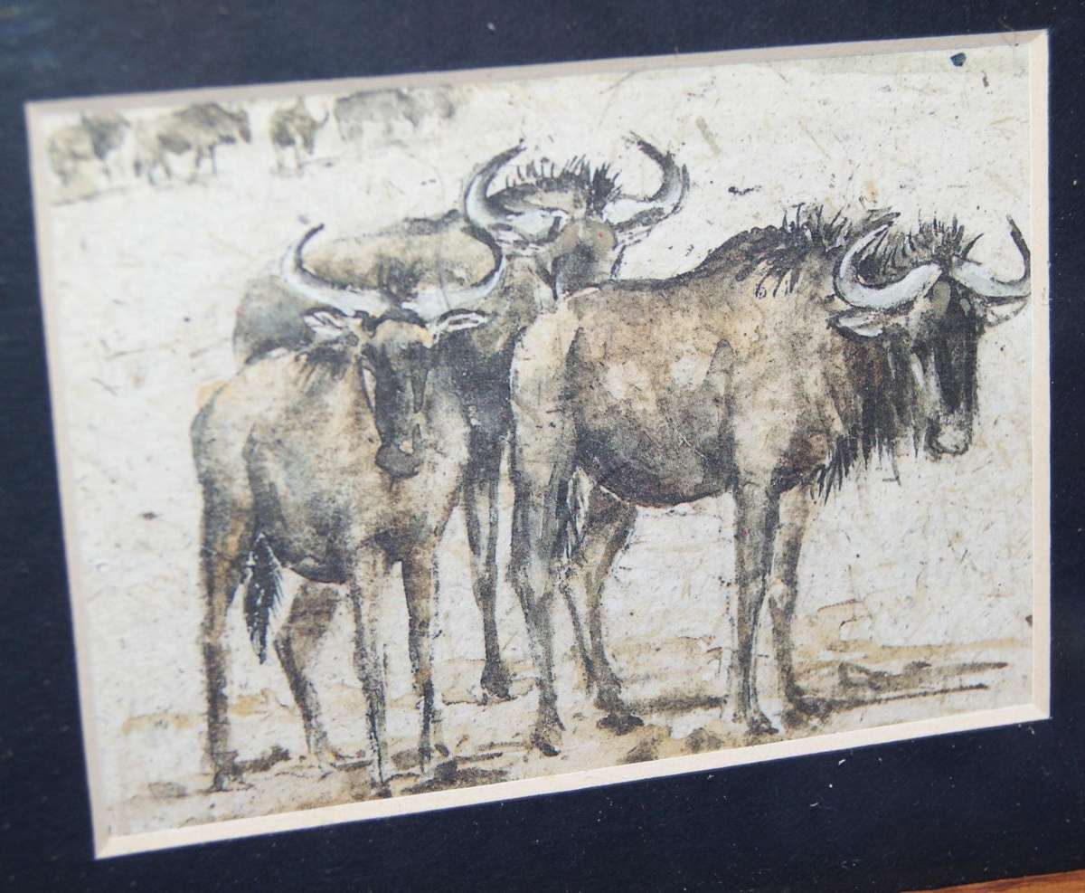 Vintage framed print of Wildebeest @ crazy R1 start
