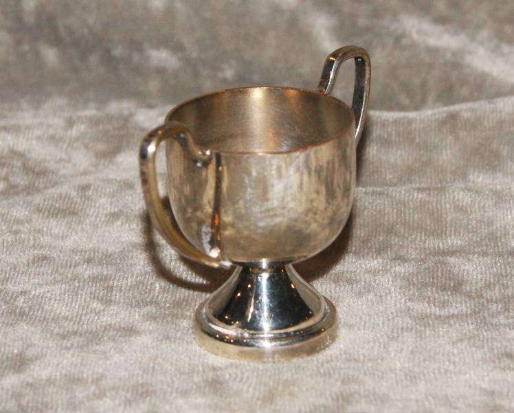 Small Silver Plated Trophy