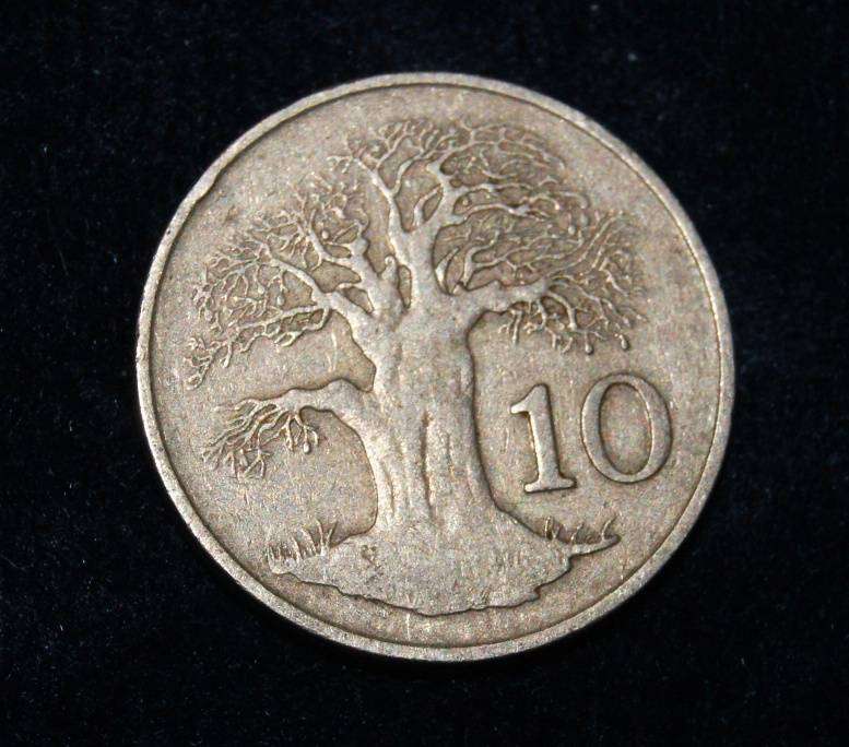 Zimbabwe 1980 10cent Coin