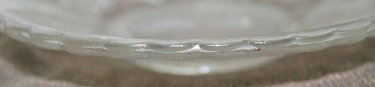 Vintage Pressed Glass Saucer with Leaf Motif