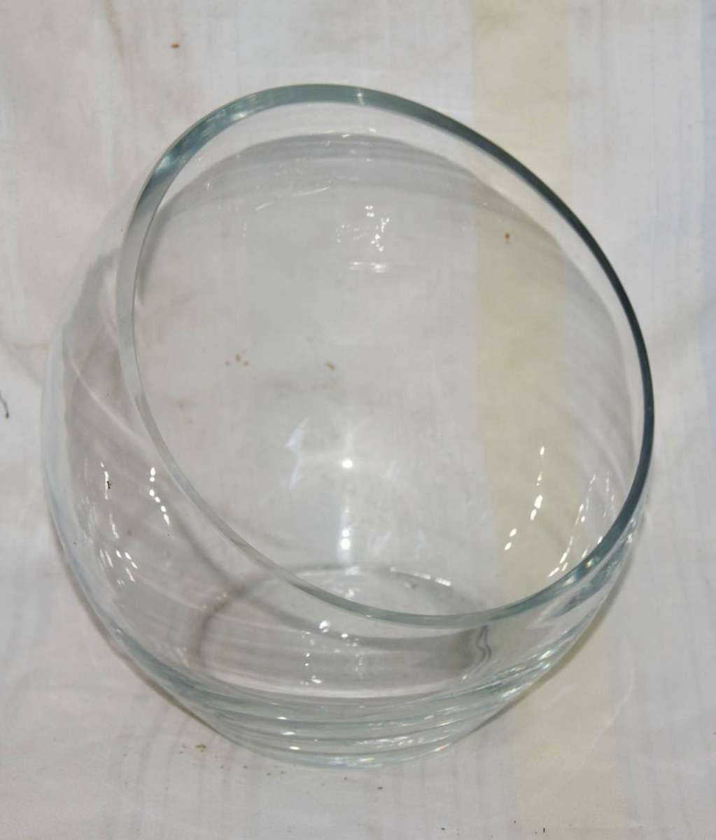 Glass Succulent Planter/ Rosebowl