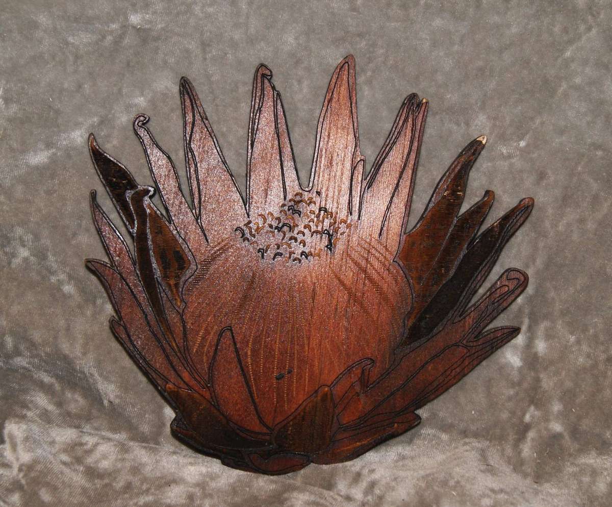 Laser Cut Protea