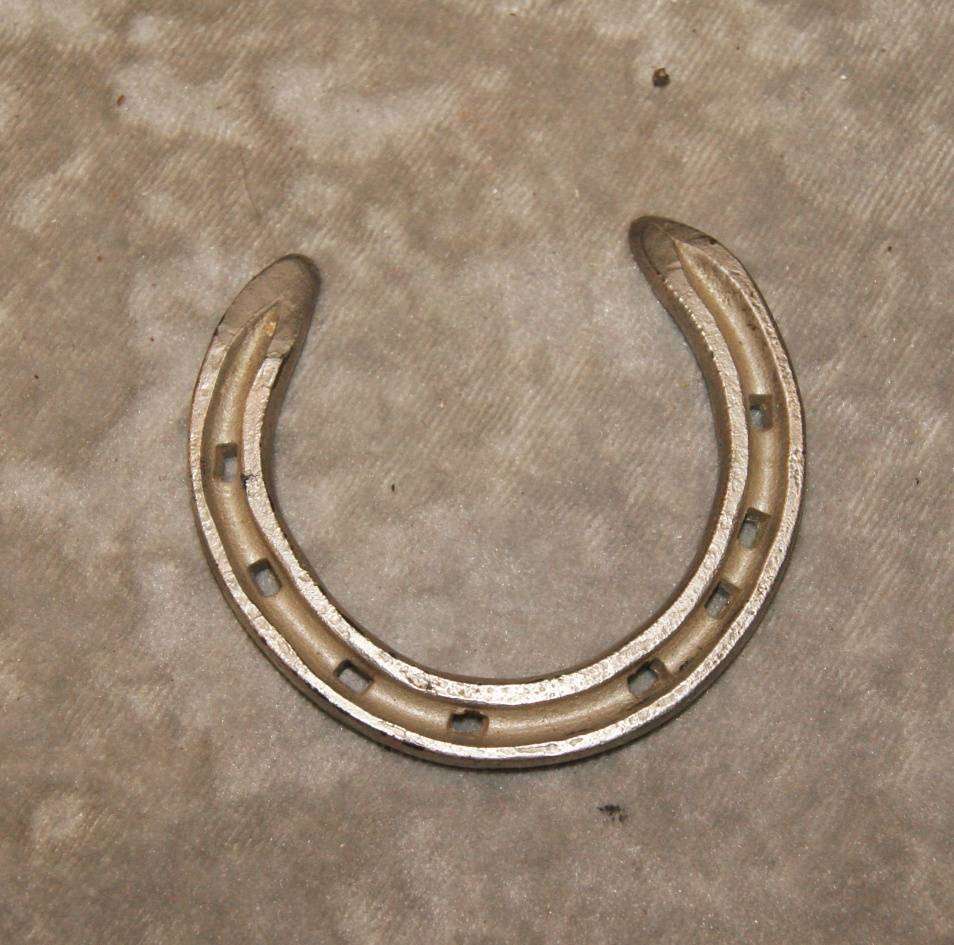 Miniature Horseshoe
