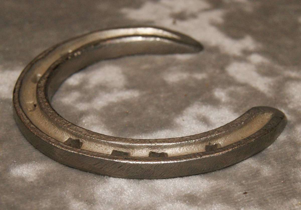 Miniature Horseshoe