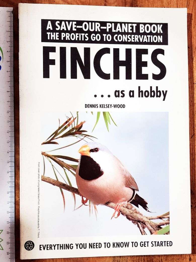 Finches as a Hobby, Everything you need to know to get started