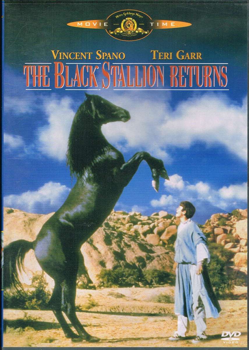 The Black Stallion Returns