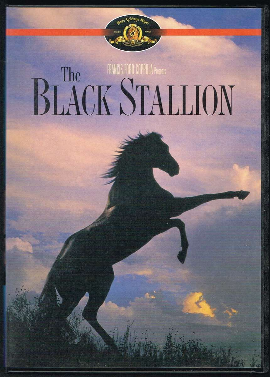 The Black Stallion