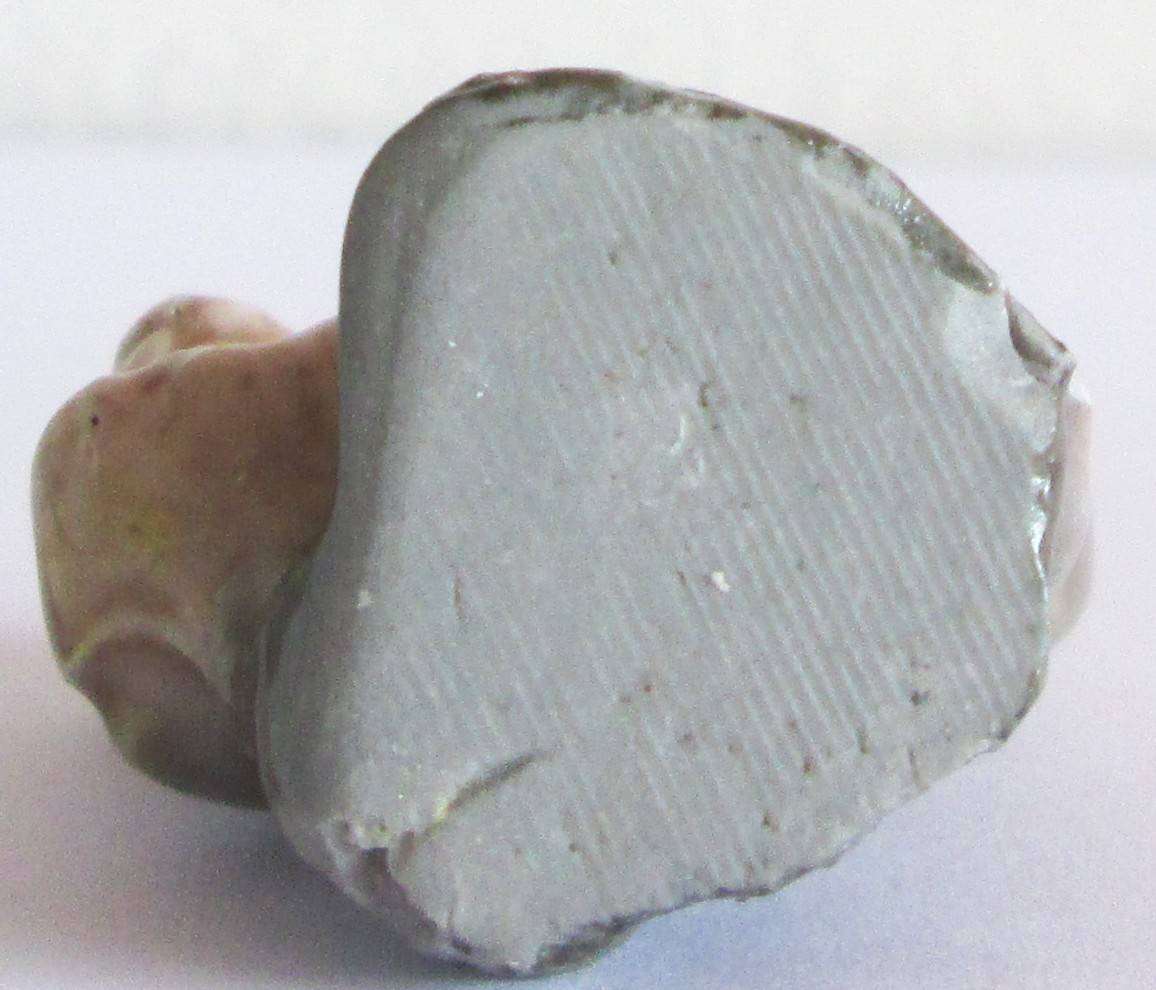 1974 Squirrel Wade English Whimsies