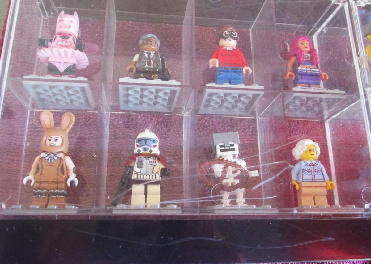 LEGO Minifigures 15 Set in Black Display Case