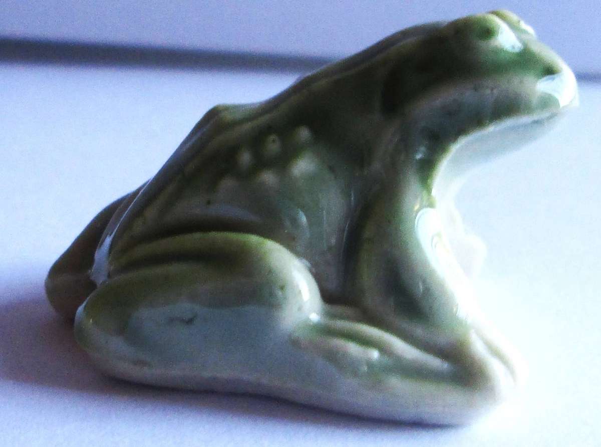 Wade Frog