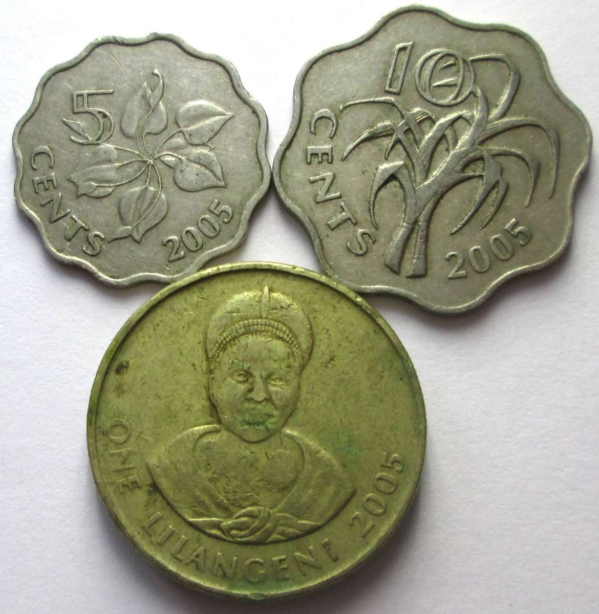 2005 Swaziland 5 Cents 10 Cents 1 Lilangeni