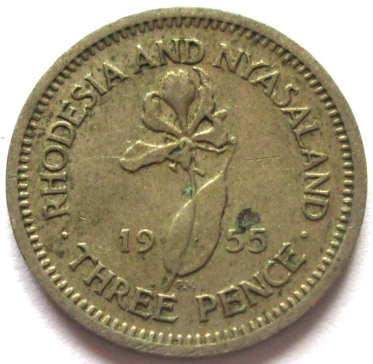 1955 RHODESIA AND NYASALAND 3 PENCE
