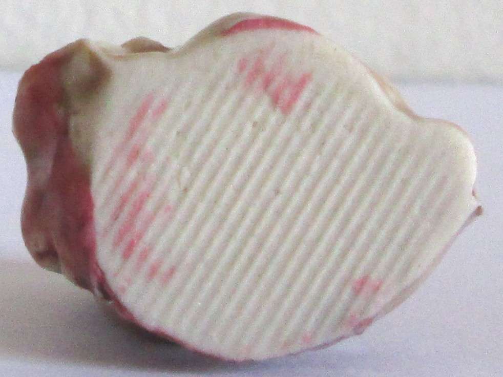 1972 Bush Baby Wade English Whimsies