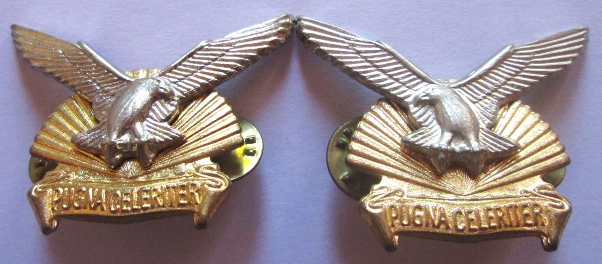 Durban King Shaka Regiment South Africa 1964 - 1966