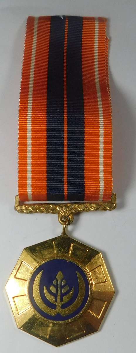 Pro Patria Medal to 85278 Lt. T.T. Matzdorff
