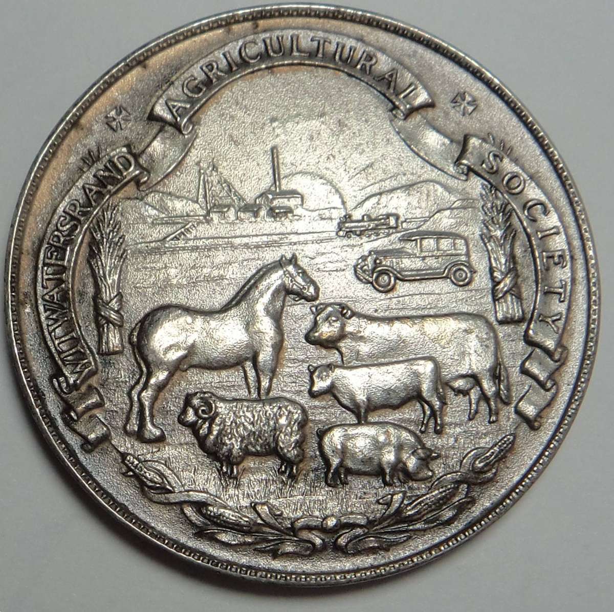 Silver Medal: Witwatersrand Agricultural Society