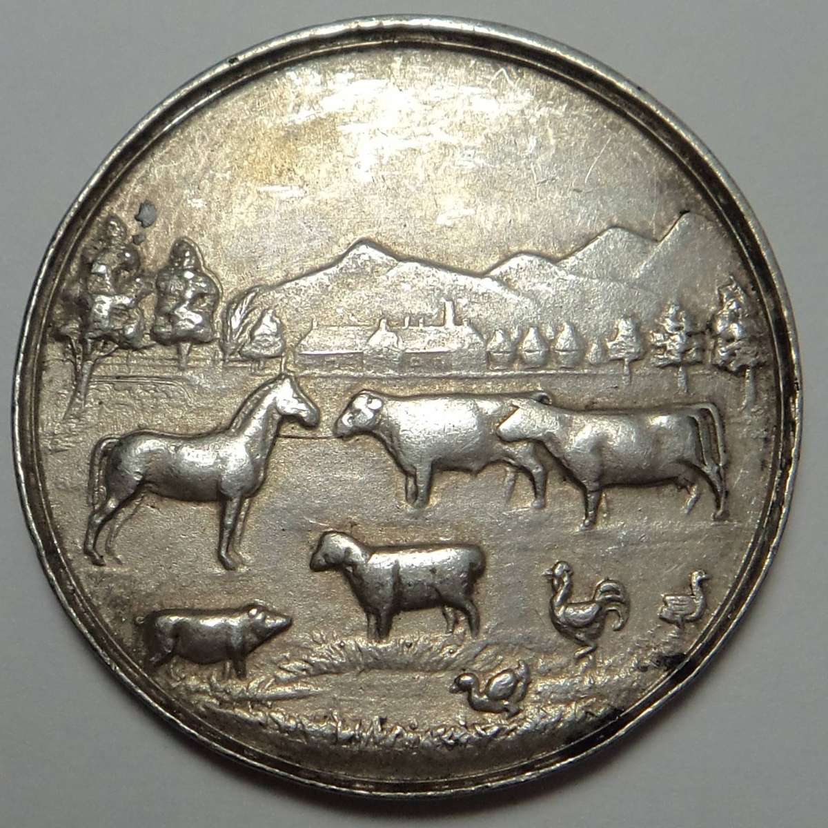 Silver Medal: Royal Agricultural Society of Natal