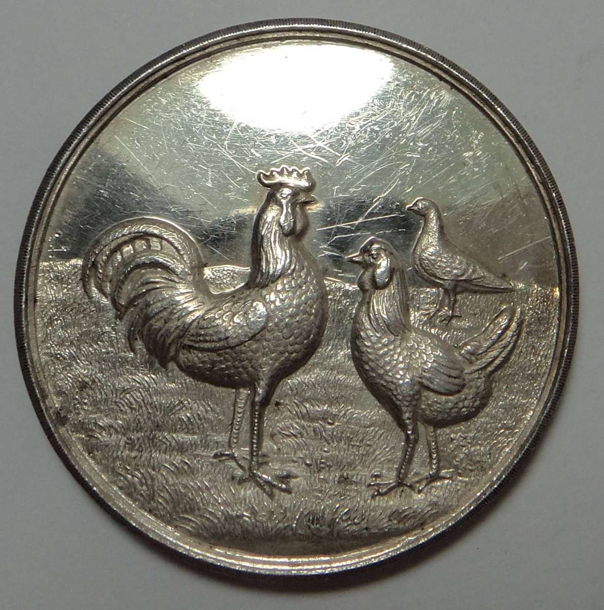 Silver Medal: Cape Poultry & Pigeon Club 1910