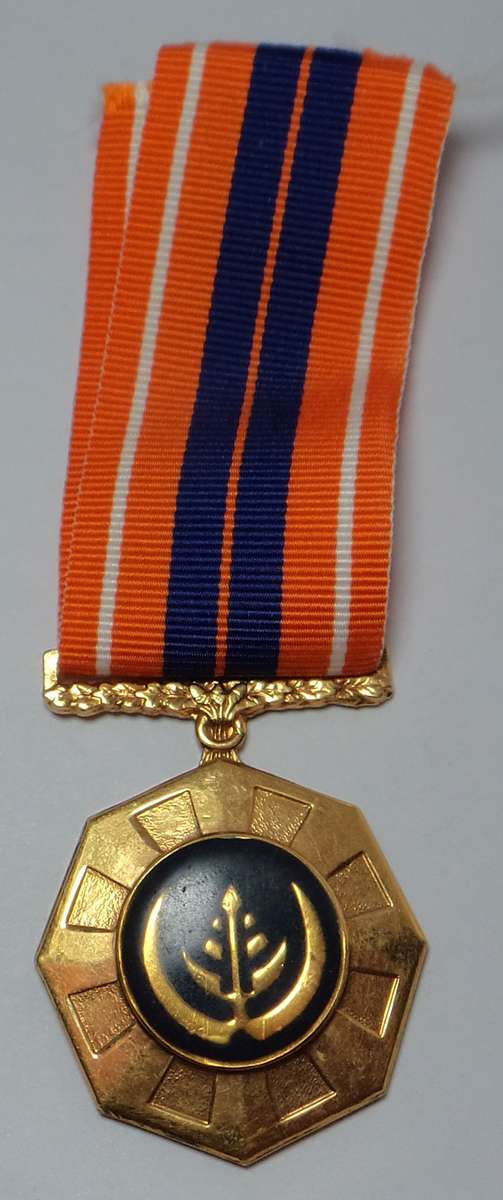 Full Size Pro Patria Medal (Fixed Suspender 208318)