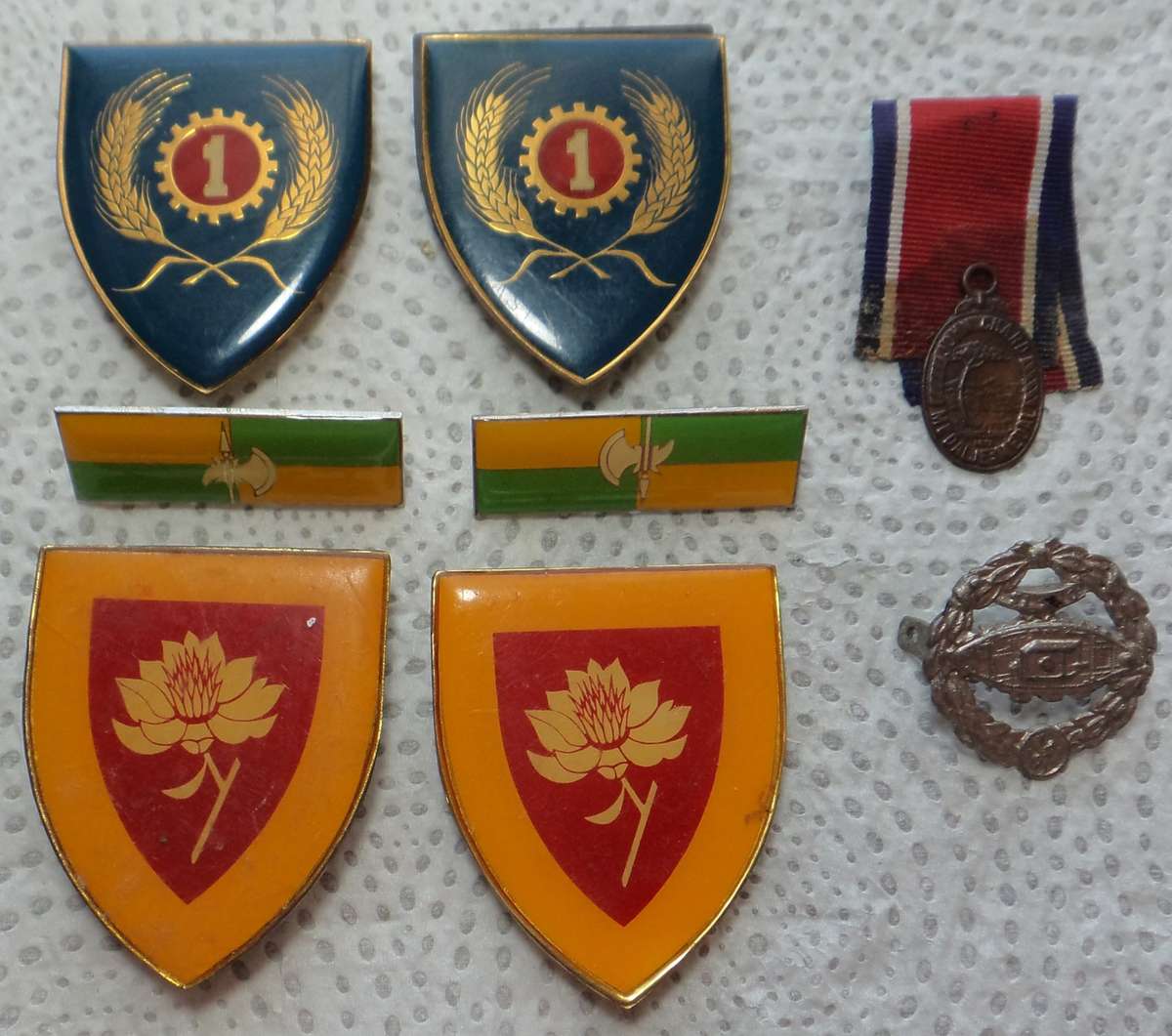 Collection of South African Militaria