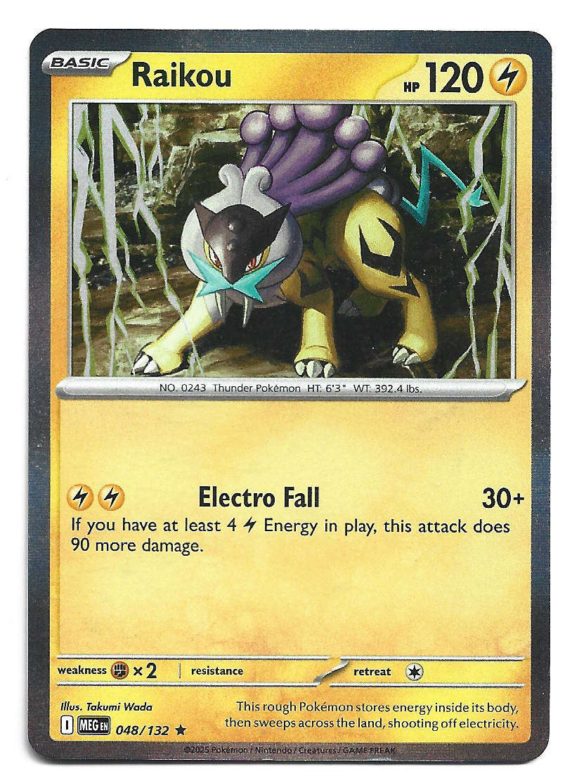 RAIKOU - HOLO RARE  48/132 POKEMON TCG MEGA EVOLUTION TRADING CARD