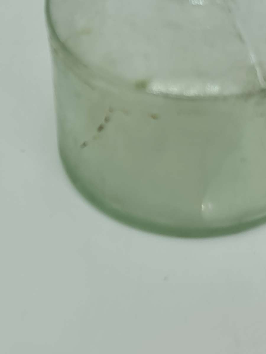 19th Century Ink bottle