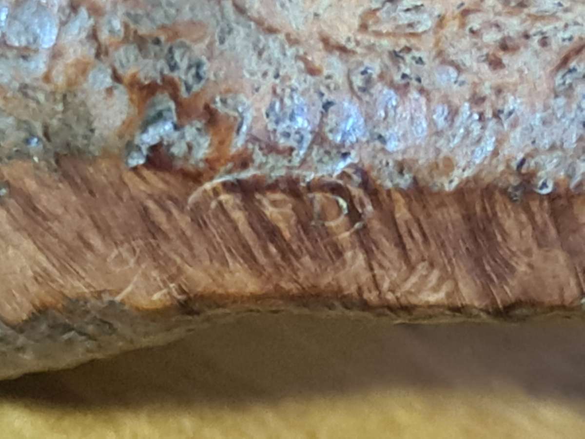 Vintage GBD 1331 pipe