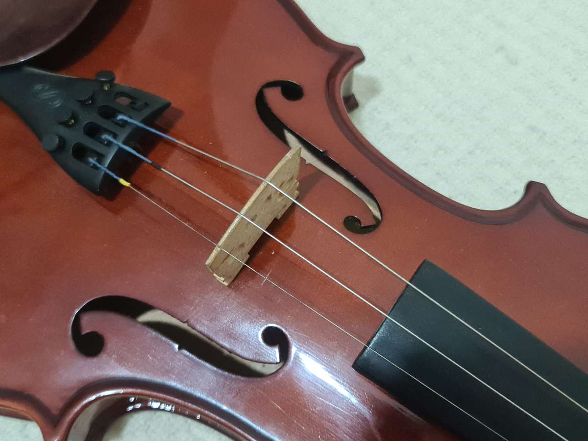 Stentor violin with case, Student 1