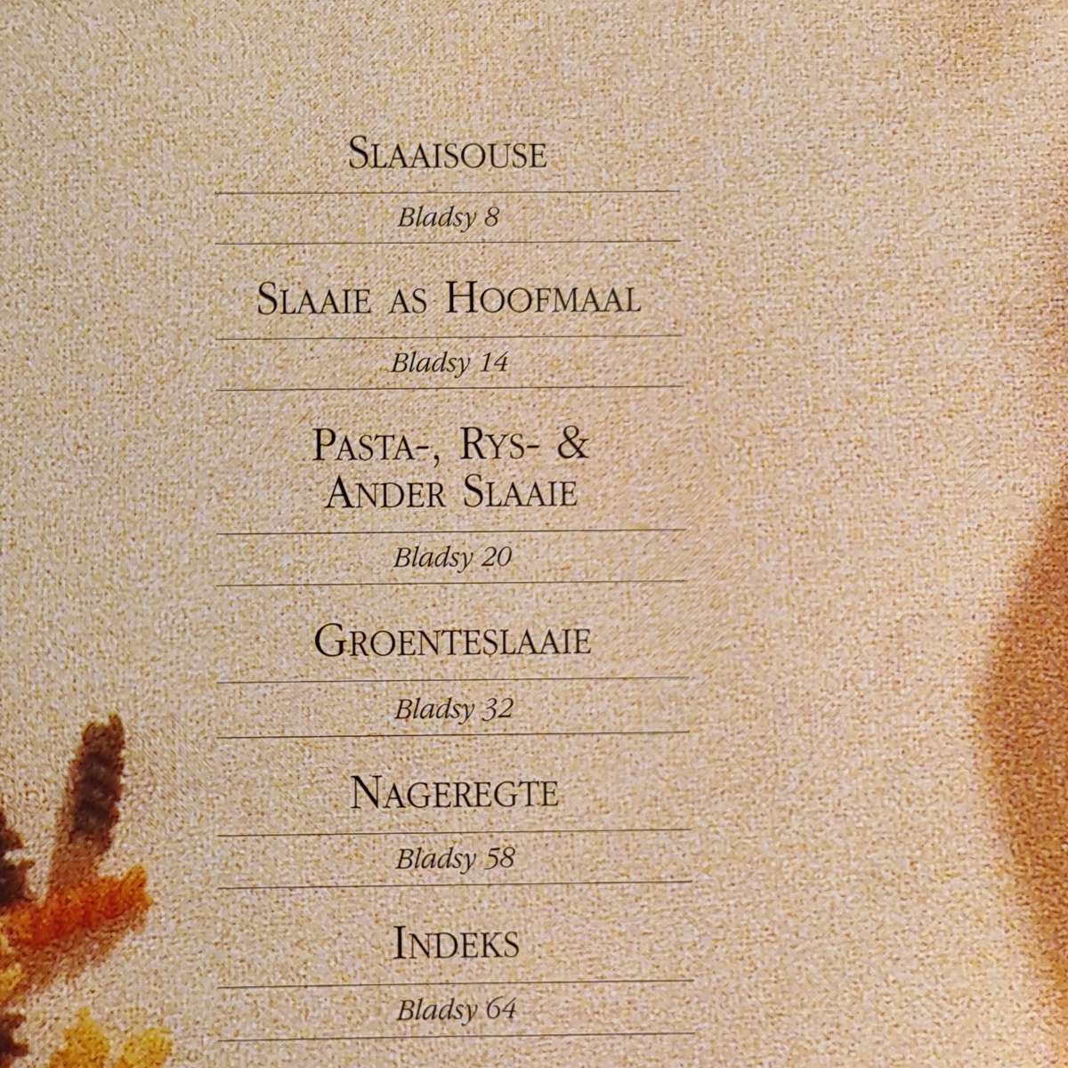 Vinnig 'n' Maklik Slaaie, Souse en nog wat