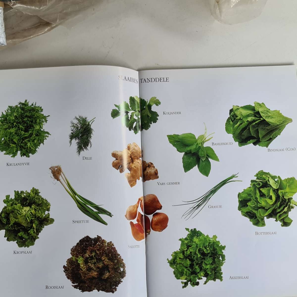 Vinnig 'n' Maklik Slaaie, Souse en nog wat