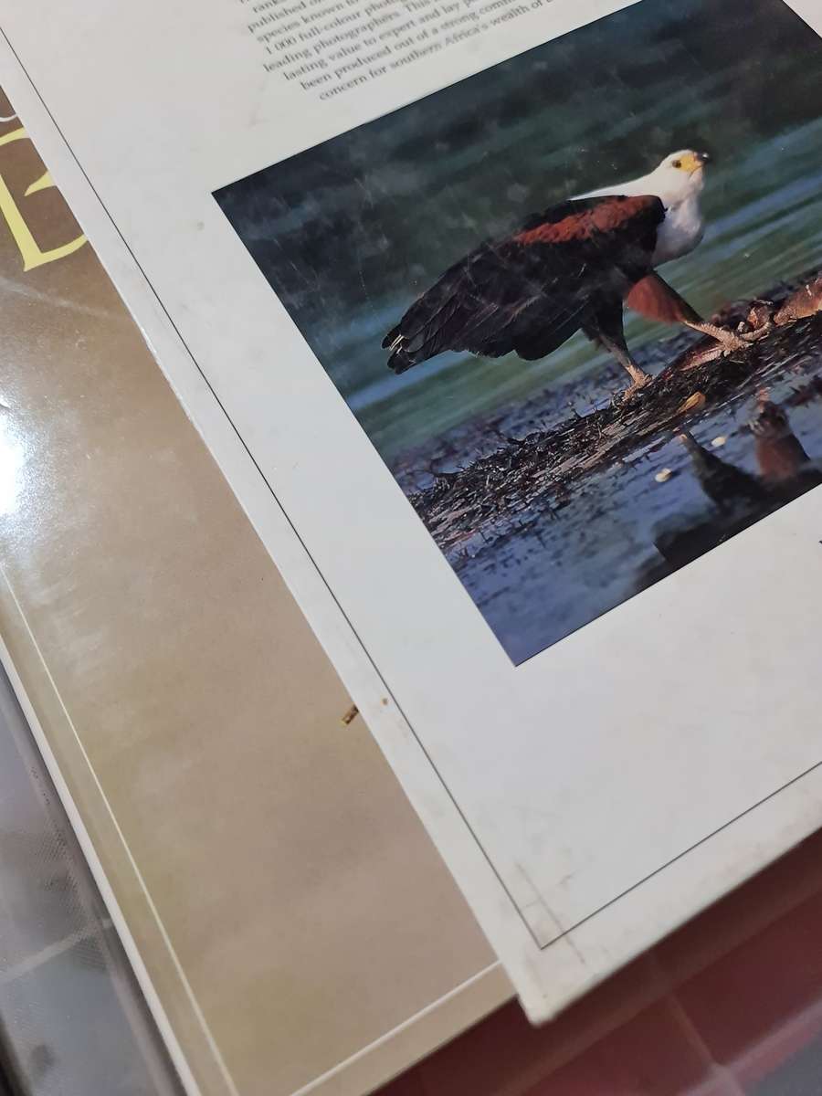 Book: The Complete Book of South African Birds