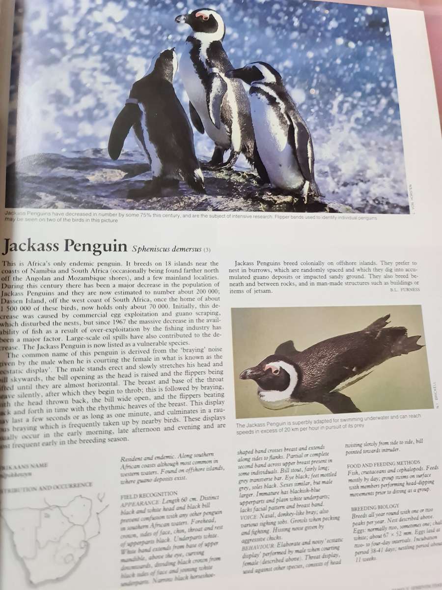 Book: The Complete Book of South African Birds