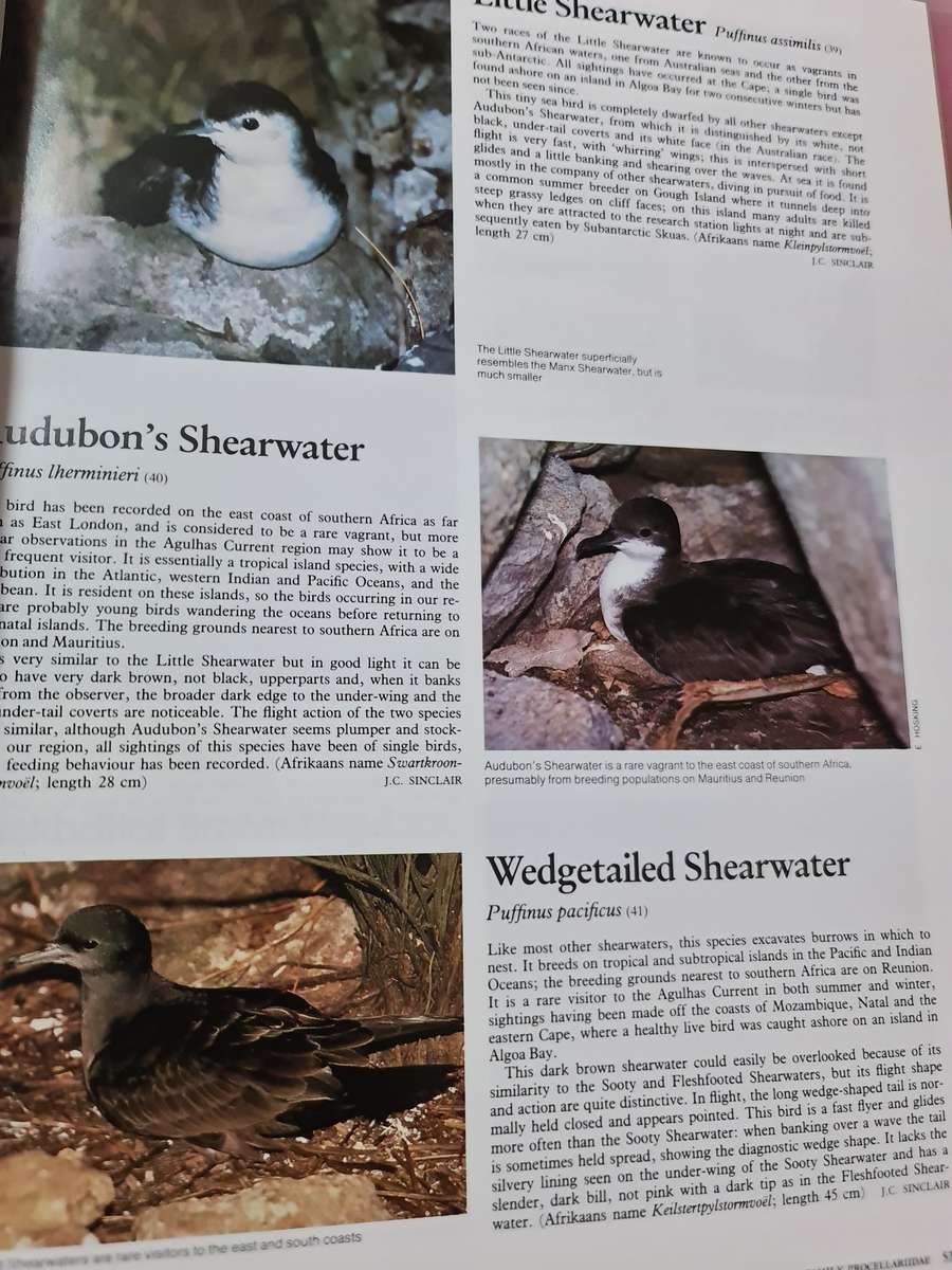 Book: The Complete Book of South African Birds