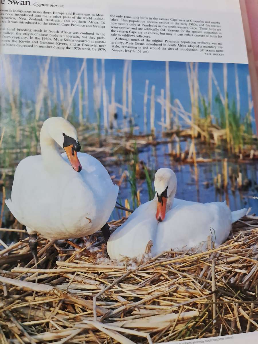 Book: The Complete Book of South African Birds