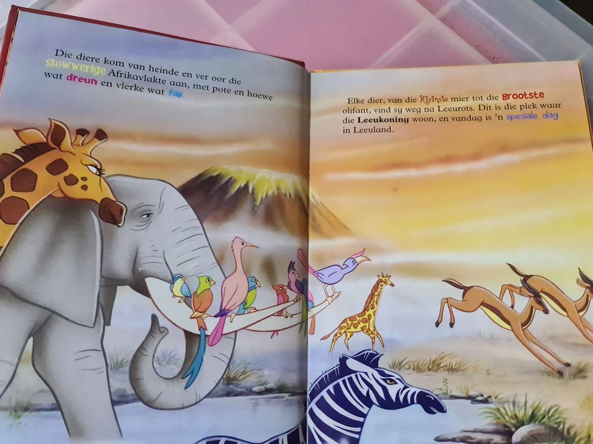 Disney Die Leeu Koning