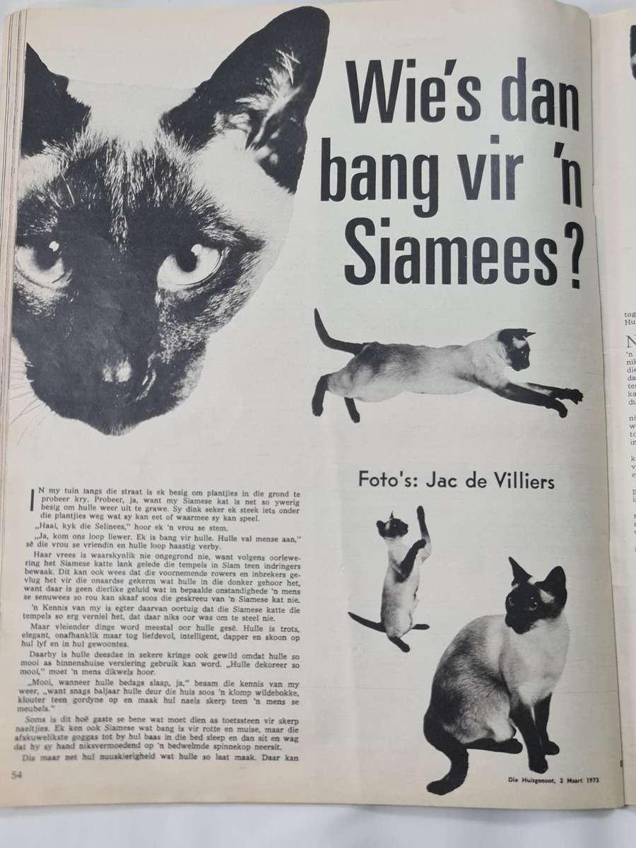 Huisgenoot 2 Maart 1973