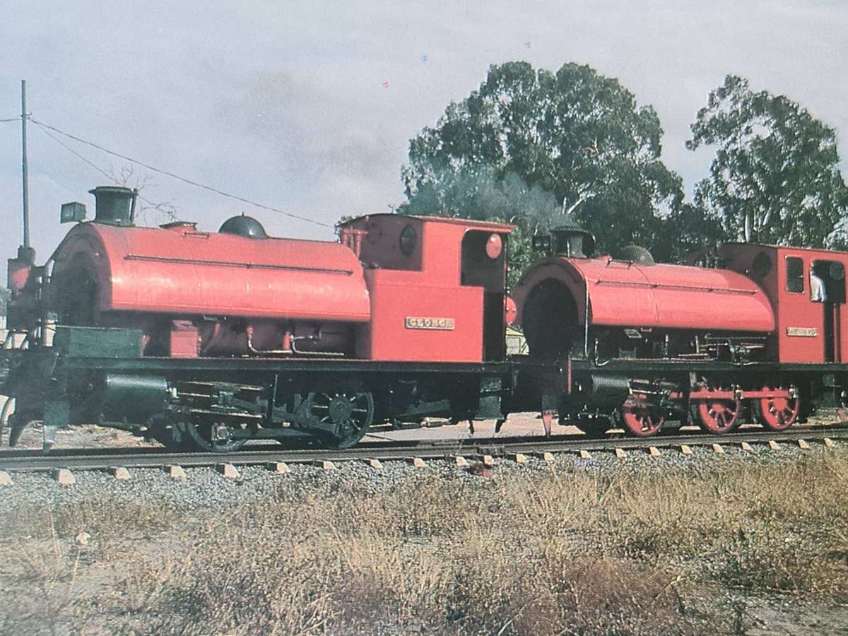 Postcard:  Johannesburg Municipality saddle tank locomotives "George" and " Elizabeth