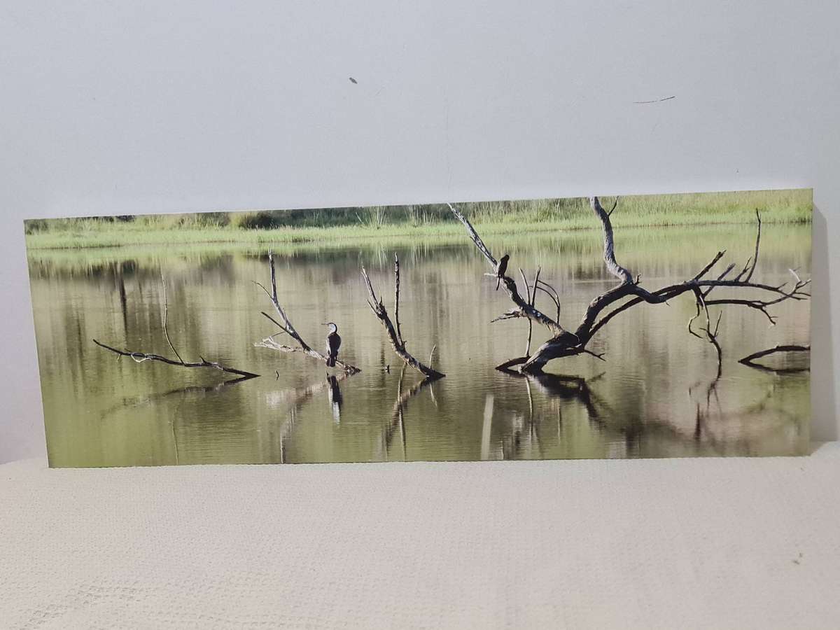 Bird and water lithograph