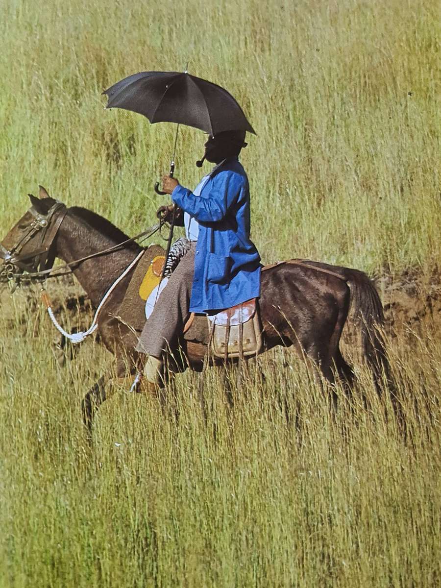 Book: South African Tribal Life today