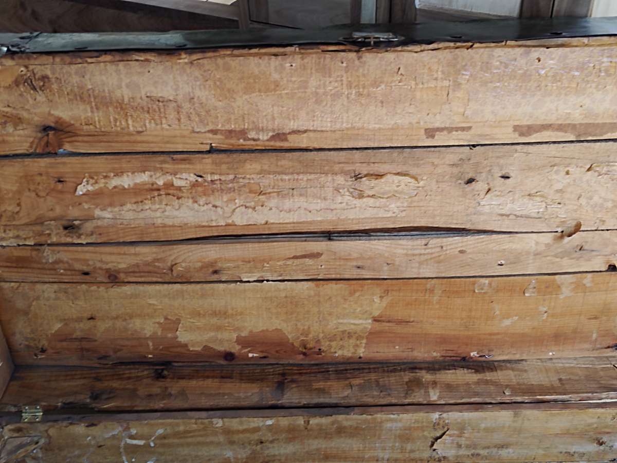 Antique metal steamer trunk