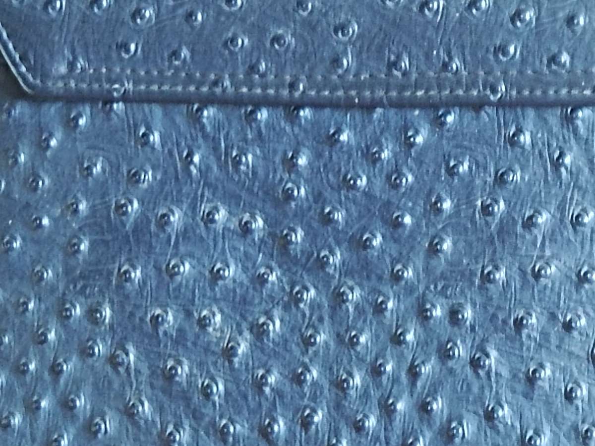 Vintage Ostrich hand bag