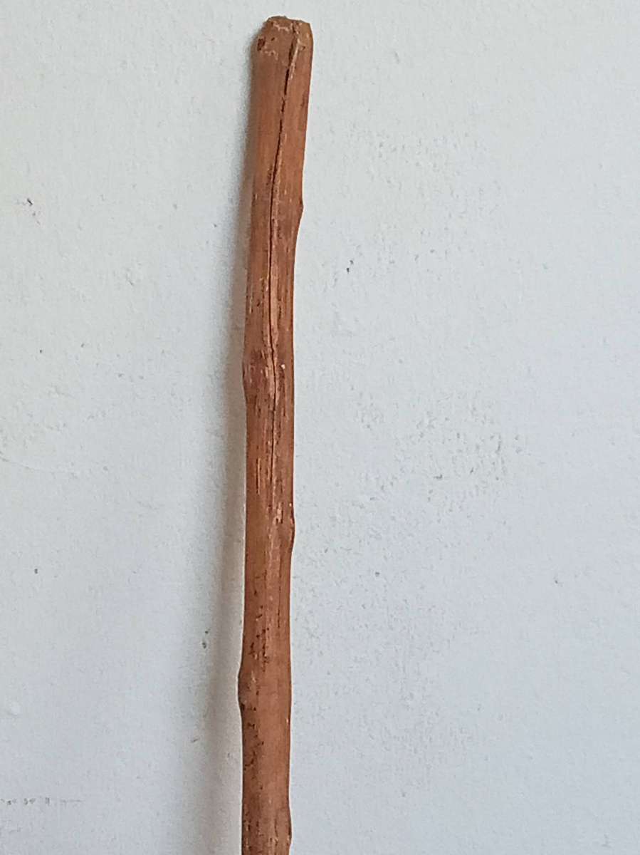 Natural wood walking stick. (a)