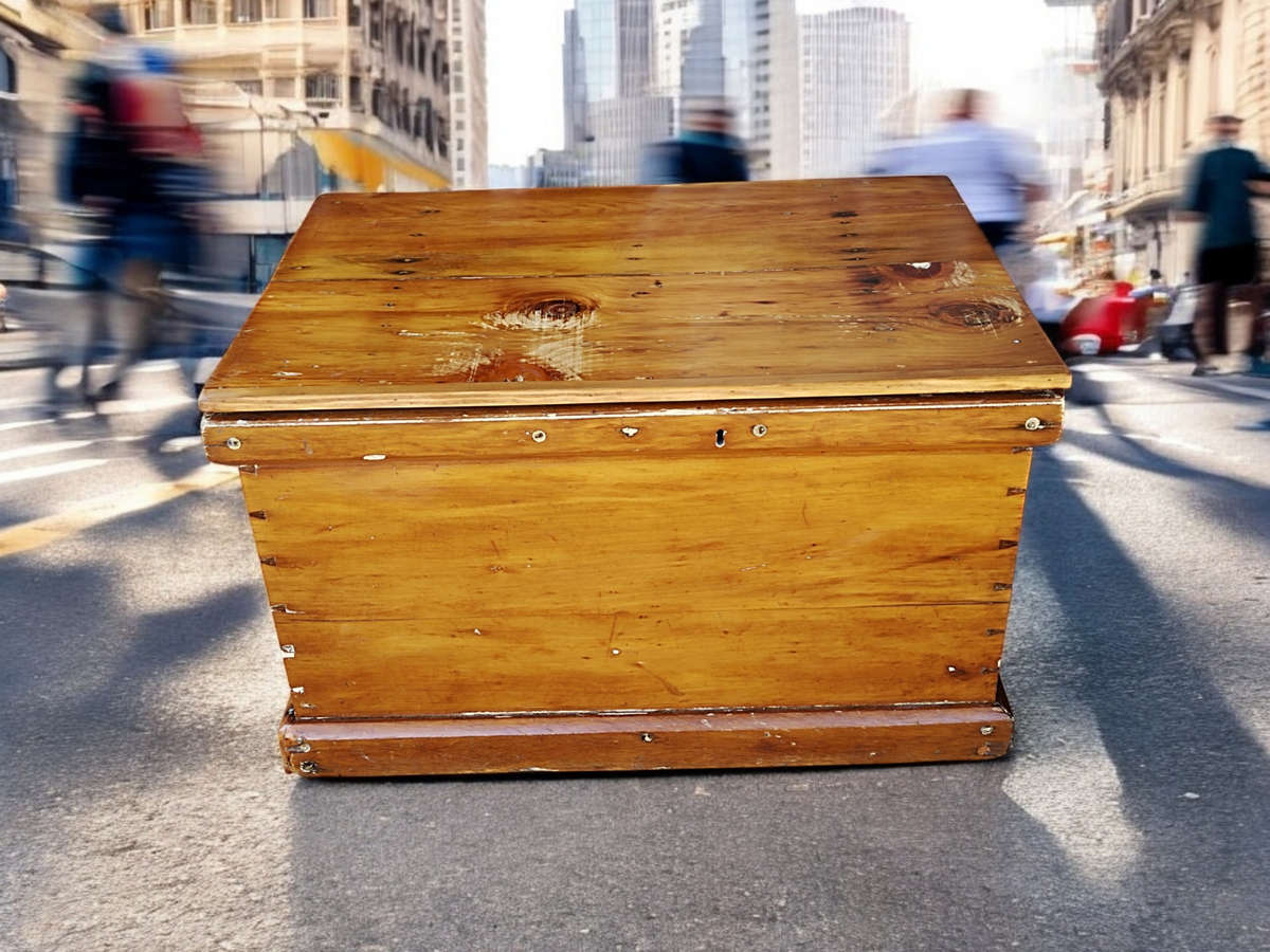 Oregon and yellowwood? 19th century kist