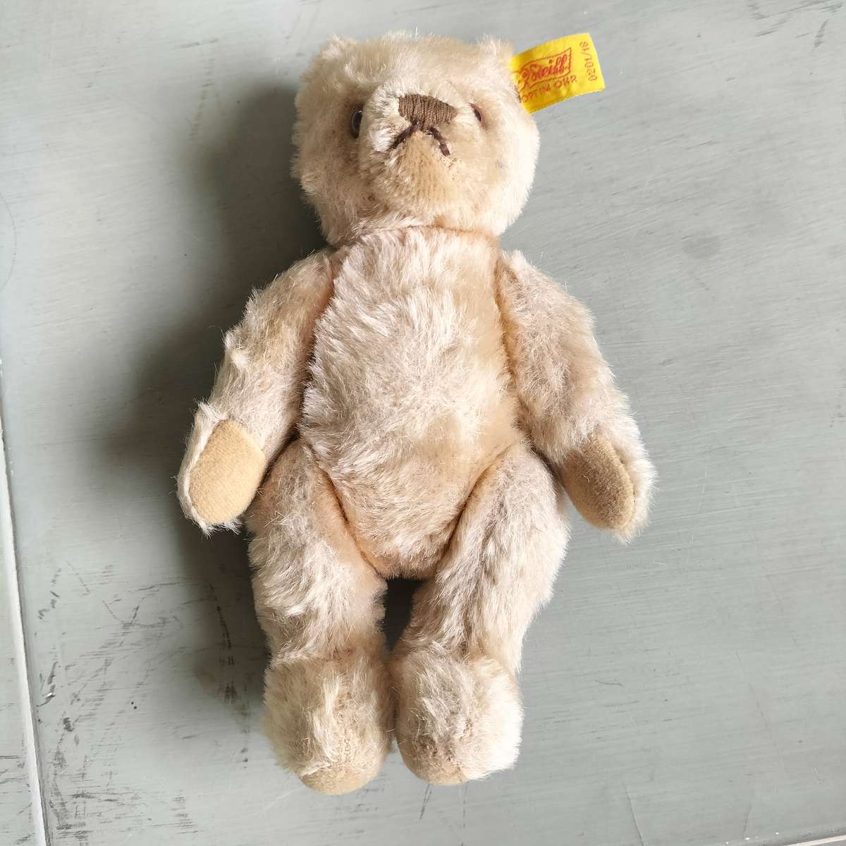 "STEIFF" TEDDY BEAR. RARE COLLECTABLE TOY.