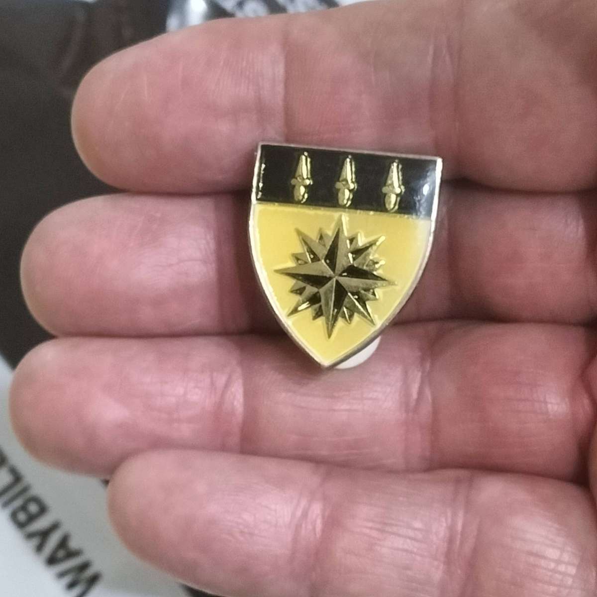 COLLECTION SADF BADGES.