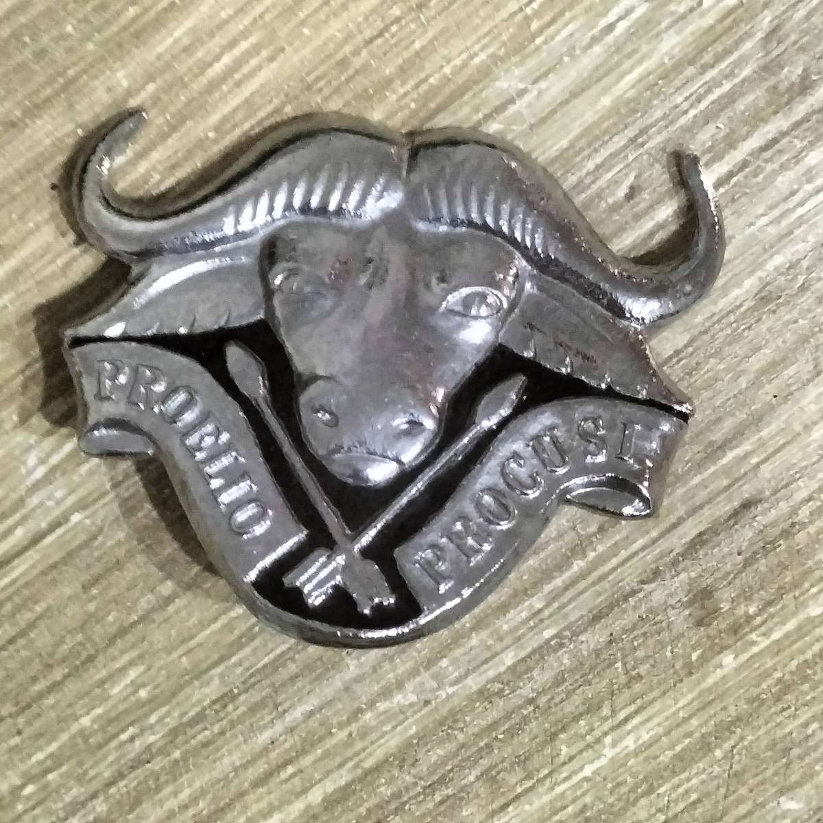 COLLECTION SADF BADGES.