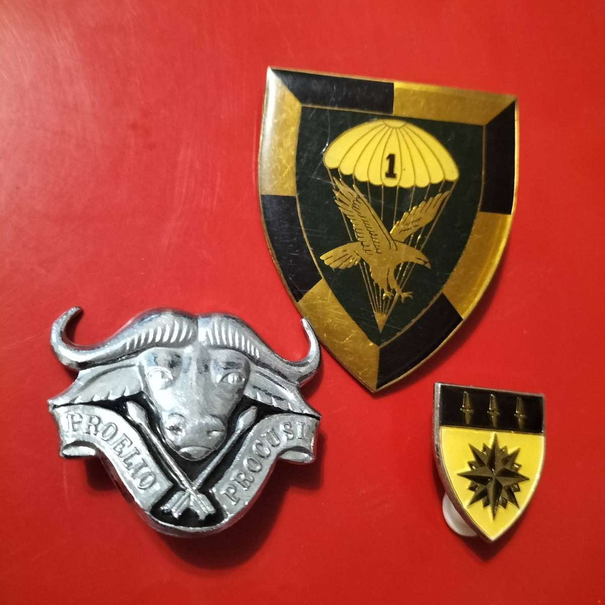 COLLECTION SADF BADGES.