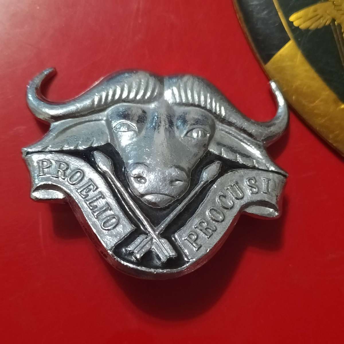 COLLECTION SADF BADGES.