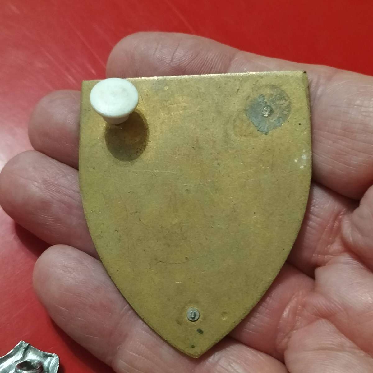 COLLECTION SADF BADGES.