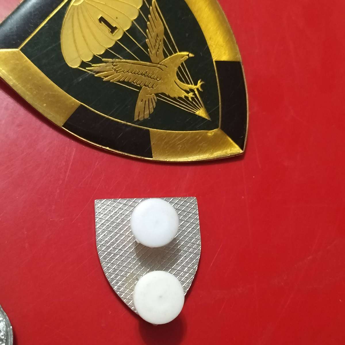 COLLECTION SADF BADGES.